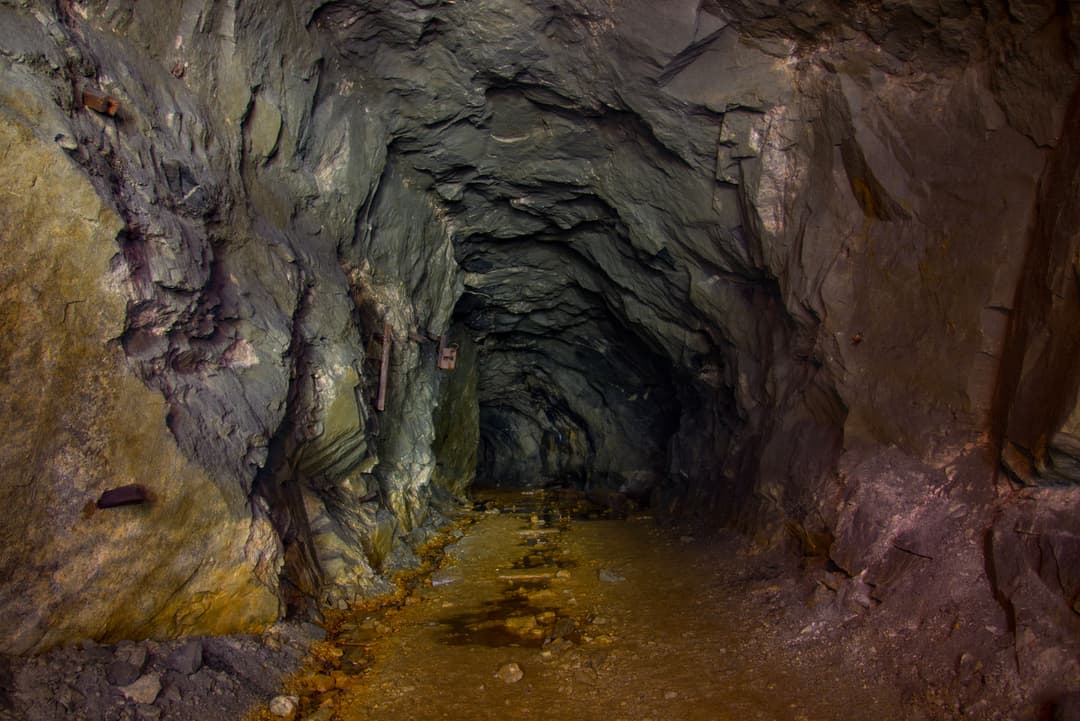 Image for synopsis section 3